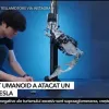 Un robot de la Tesla i-a sfasiat mana unui inginer