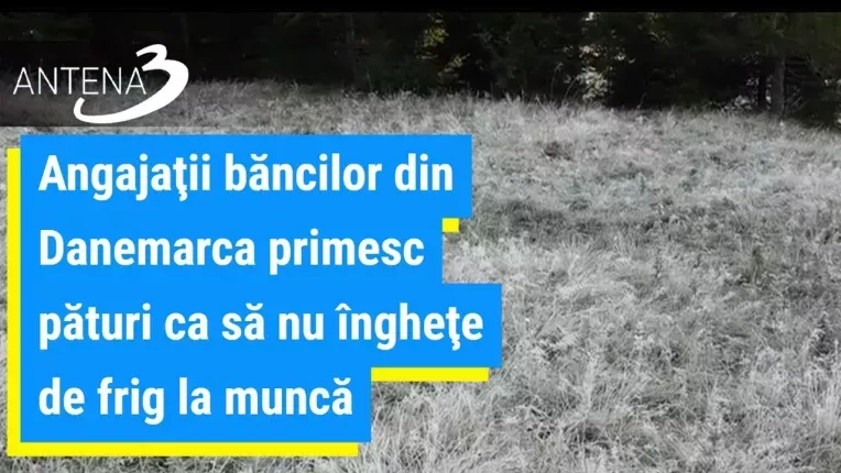 Angajatii bancilor din Danemarca primesc paturi ca sa nu inghete de frig la munca