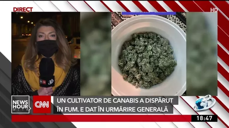 Bihorean dat in urmarire generala dupa ce a investit fonduri UE  intr-o cultura de canabis