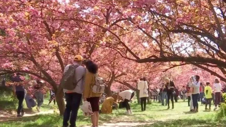 Cald afara, cald si in casele bucurestenilor! Oamenii se plang ca trebuie sa plateasca facturi mai mari