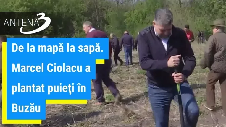 De la mapa la sapa. Marcel Ciolacu a plantat puieti in Buzau