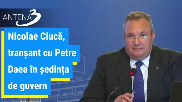 Nicolae Ciuca, transant cu Petre Daea in sedinta de guvern.