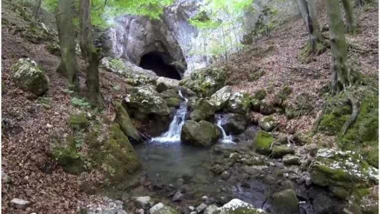 Povestea zacamantului spectaculos din pesterile Cioclovinei. 