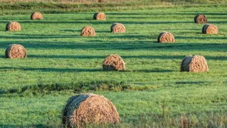 Un fermier plateste 200.000 Euro pe 40 ha ca sa isi faca singur furajele pentru vaci