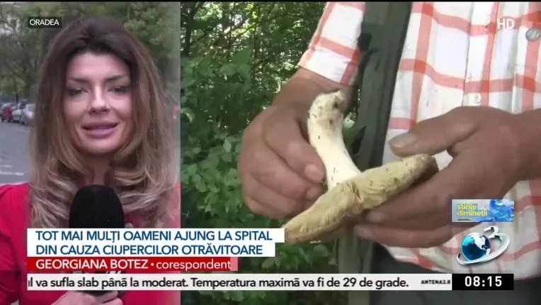 Zeci de romani, internati la terapie intensiva dupa ce au mancat ciuperci otravitoare